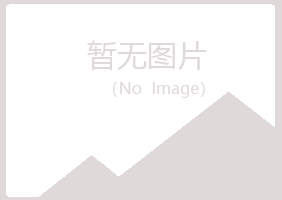 安阳龙安山柏咨询有限公司